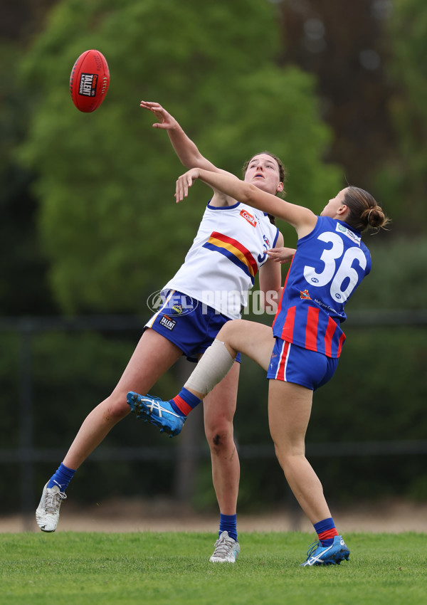 Coates Talent League Girls 2024 - Oakleigh v Eastern Ranges - A-47413811