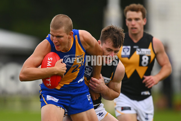 VFL 2024 Round 05 - Williamstown v Werribee - A-48095536