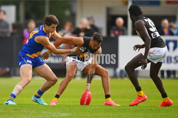 VFL 2024 Round 05 - Williamstown v Werribee - A-48095554