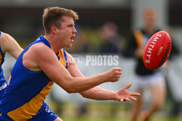 VFL 2024 Round 05 - Williamstown v Werribee - A-48095555