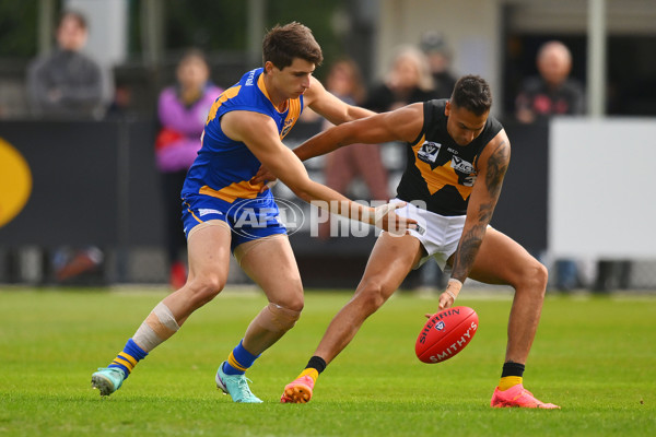 VFL 2024 Round 05 - Williamstown v Werribee - A-48095558