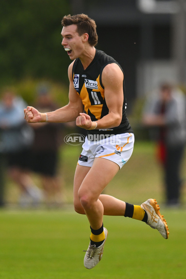 VFL 2024 Round 05 - Williamstown v Werribee - A-48095579