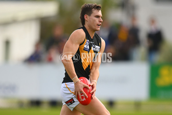 VFL 2024 Round 05 - Williamstown v Werribee - A-48095583