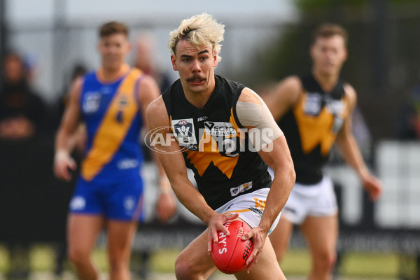 VFL 2024 Round 05 - Williamstown v Werribee - A-48095590