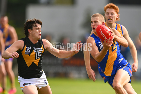 VFL 2024 Round 05 - Williamstown v Werribee - A-48095591