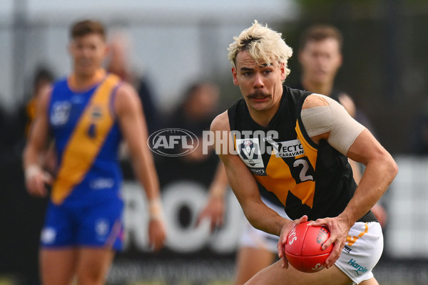 VFL 2024 Round 05 - Williamstown v Werribee - A-48095592