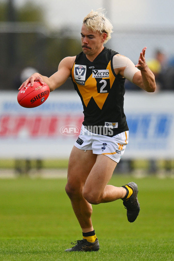 VFL 2024 Round 05 - Williamstown v Werribee - A-48095593