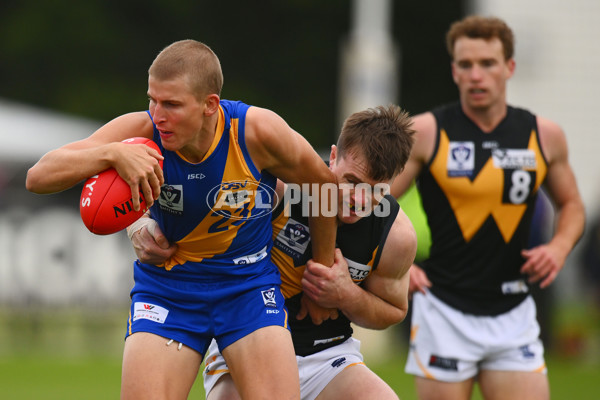 VFL 2024 Round 05 - Williamstown v Werribee - A-48171758