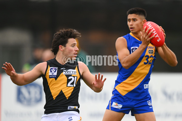 VFL 2024 Round 05 - Williamstown v Werribee - A-48171761