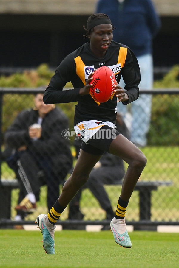 VFL 2024 Round 05 - Williamstown v Werribee - A-48171764