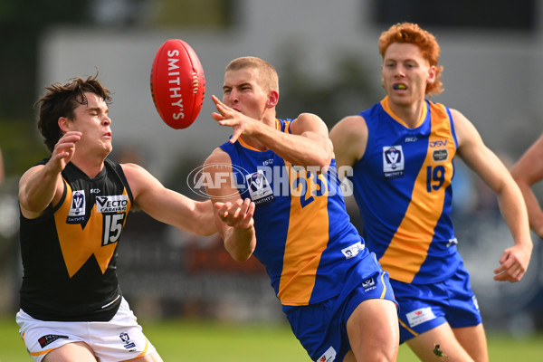 VFL 2024 Round 05 - Williamstown v Werribee - A-48171816