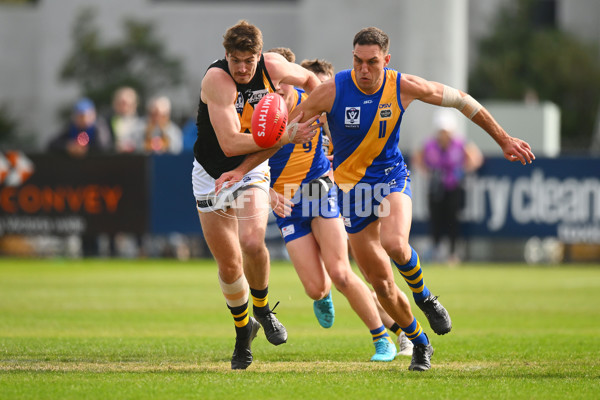 VFL 2024 Round 05 - Williamstown v Werribee - A-48171828