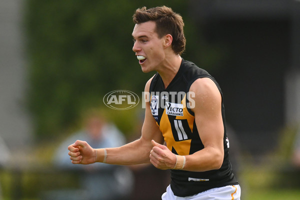 VFL 2024 Round 05 - Williamstown v Werribee - A-48171830