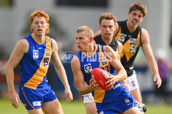 VFL 2024 Round 05 - Williamstown v Werribee - A-48175487