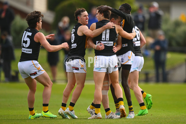 VFL 2024 Round 05 - Williamstown v Werribee - A-48175488