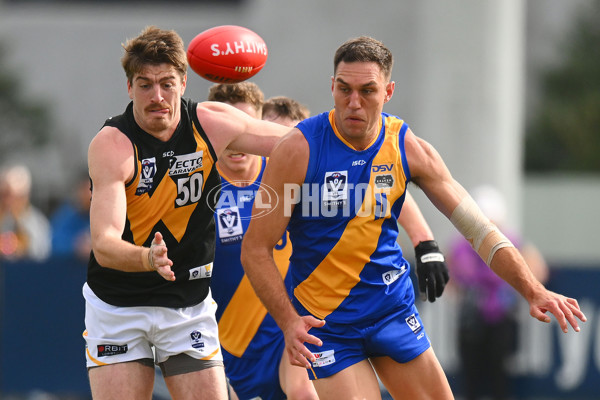 VFL 2024 Round 05 - Williamstown v Werribee - A-48175490