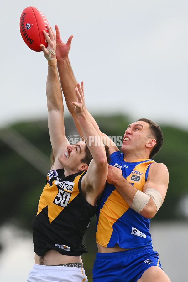 VFL 2024 Round 05 - Williamstown v Werribee - A-48175546