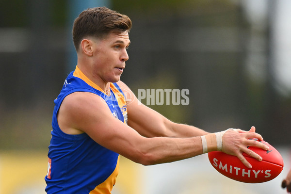 VFL 2024 Round 05 - Williamstown v Werribee - A-48175556