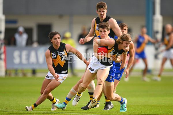 VFL 2024 Round 05 - Williamstown v Werribee - A-48175557