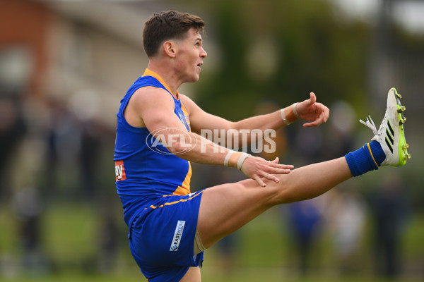 VFL 2024 Round 05 - Williamstown v Werribee - A-48175564