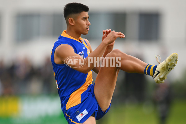 VFL 2024 Round 05 - Williamstown v Werribee - A-48176241