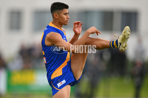 VFL 2024 Round 05 - Williamstown v Werribee - A-48176242