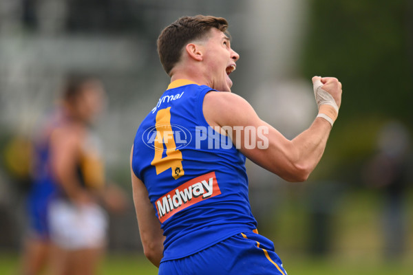 VFL 2024 Round 05 - Williamstown v Werribee - A-48176244