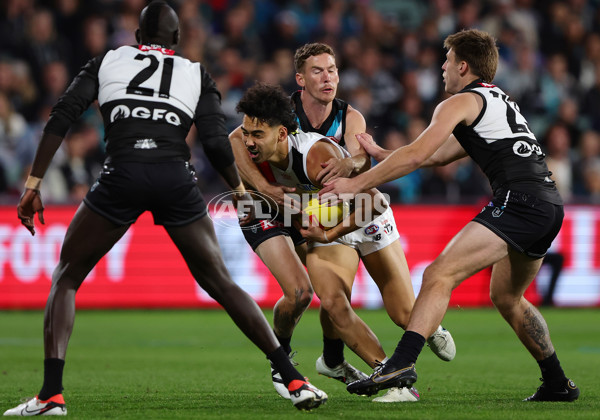 AFL 2024 Round 07 - Port Adelaide v St Kilda - A-48194333