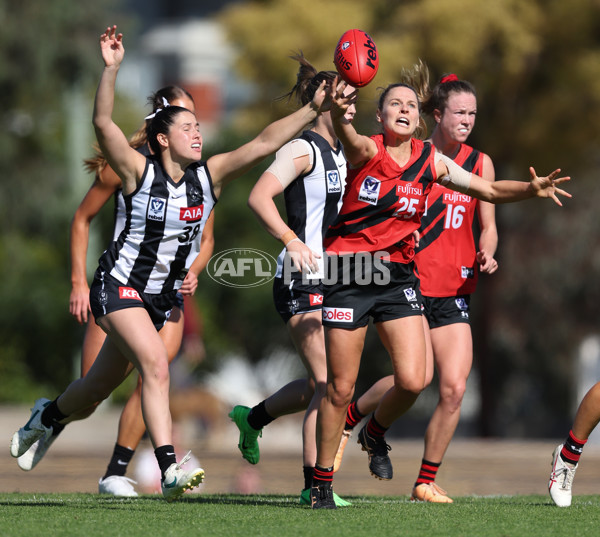 VFLW 2024 Round 06  - Collingwood v Essendon - A-48204037