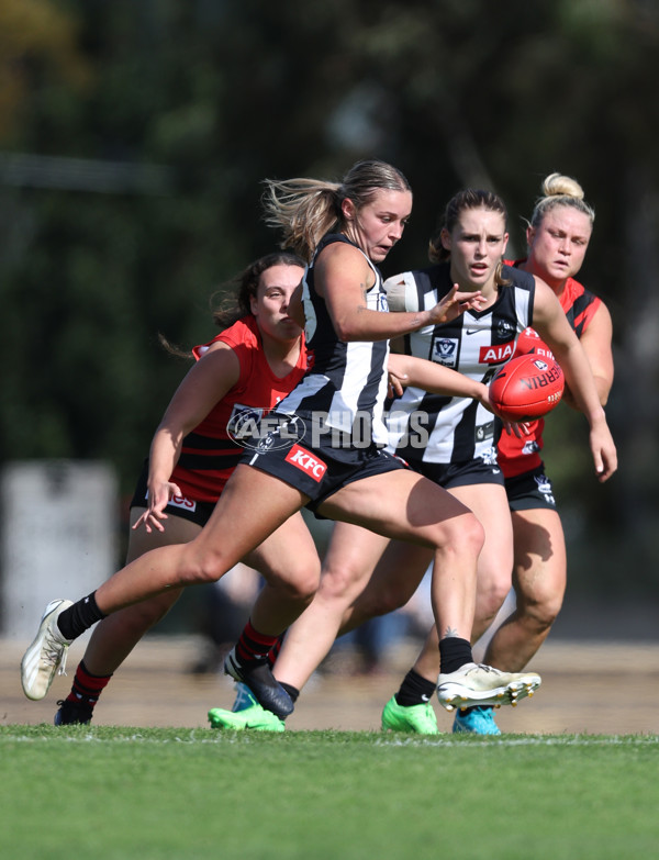 VFLW 2024 Round 06  - Collingwood v Essendon - A-48205276
