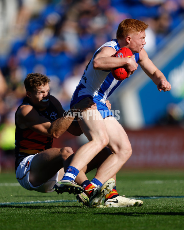 AFL 2024 Round 07 - North Melbourne v Adelaide - A-48207523