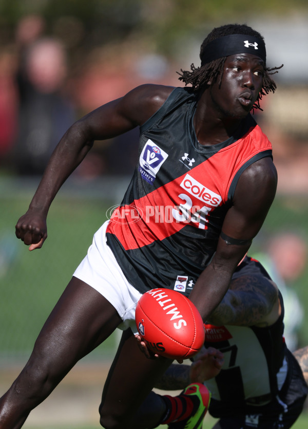 VFL 2024 Round 05  - Collingwood v Essendon - A-48208854