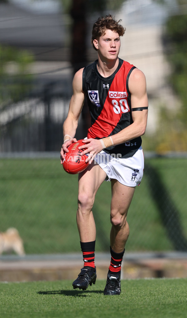 VFL 2024 Round 05  - Collingwood v Essendon - A-48208855