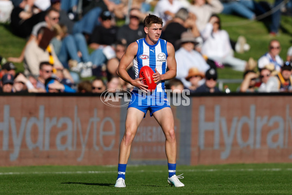 AFL 2024 Round 07 - North Melbourne v Adelaide - A-48211139