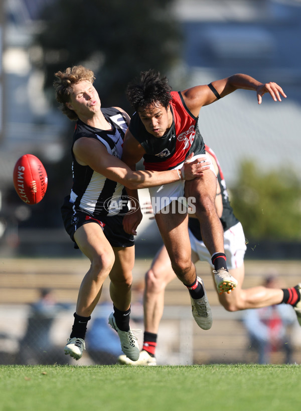 VFL 2024 Round 05  - Collingwood v Essendon - A-48212798