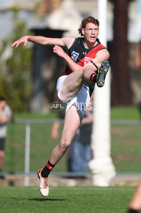 VFL 2024 Round 05  - Collingwood v Essendon - A-48212799