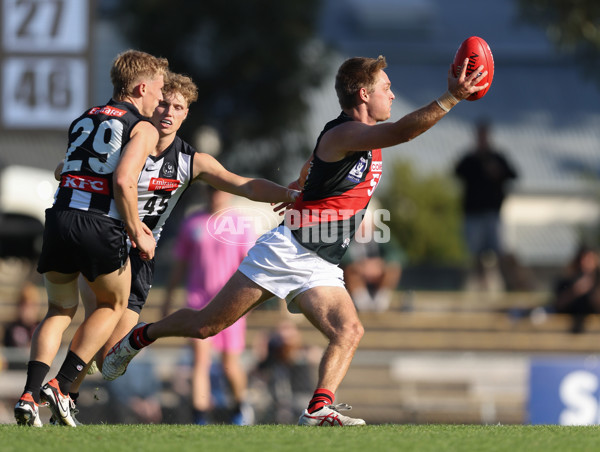 VFL 2024 Round 05  - Collingwood v Essendon - A-48212801