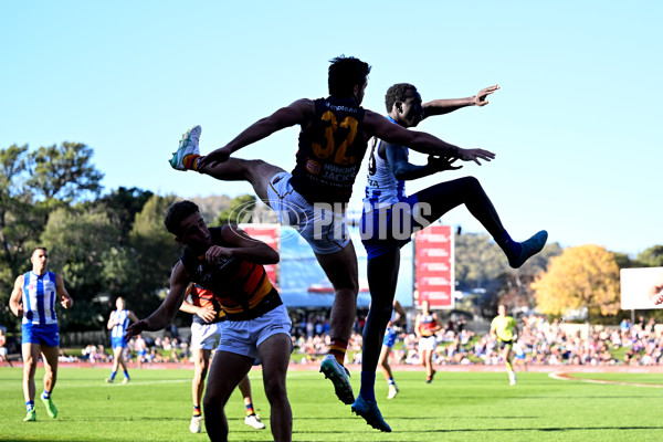 AFL 2024 Round 07 - North Melbourne v Adelaide - A-48212808