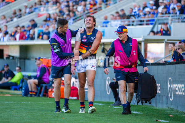 AFL 2024 Round 07 - North Melbourne v Adelaide - A-48212809