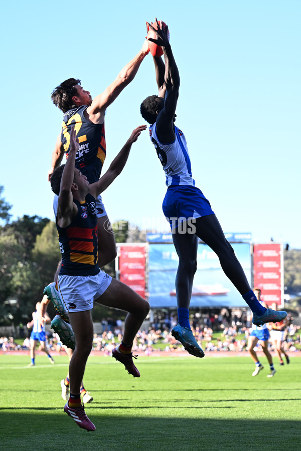 AFL 2024 Round 07 - North Melbourne v Adelaide - A-48212810