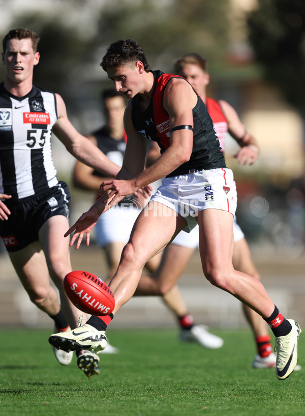 VFL 2024 Round 05  - Collingwood v Essendon - A-48213485