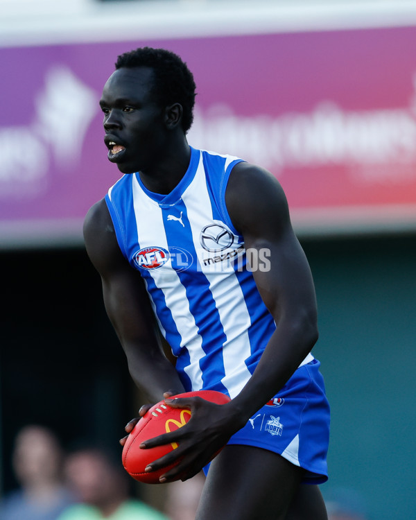 AFL 2024 Round 07 - North Melbourne v Adelaide - A-48213499