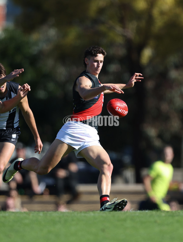 VFL 2024 Round 05  - Collingwood v Essendon - A-48215204