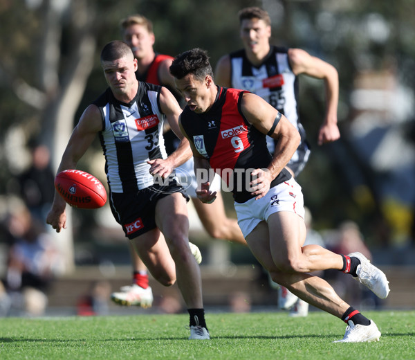 VFL 2024 Round 05  - Collingwood v Essendon - A-48215207