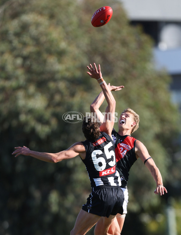 VFL 2024 Round 05  - Collingwood v Essendon - A-48215208