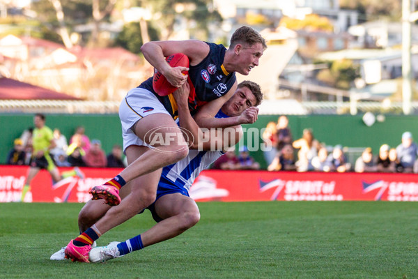 AFL 2024 Round 07 - North Melbourne v Adelaide - A-48217964