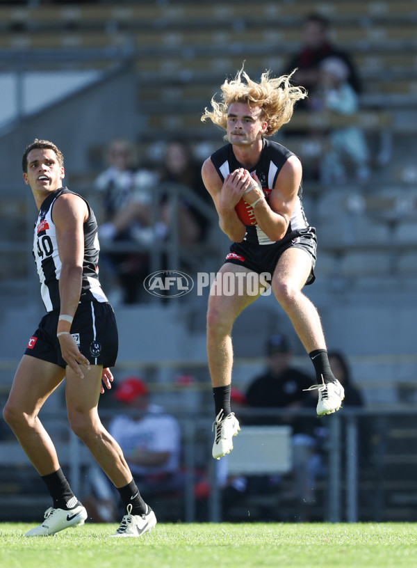 VFL 2024 Round 05  - Collingwood v Essendon - A-48217982