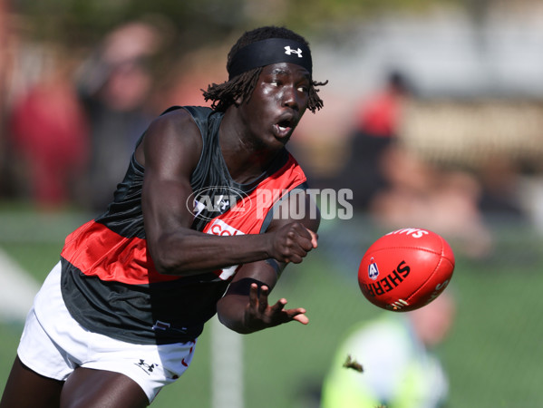 VFL 2024 Round 05  - Collingwood v Essendon - A-48217983