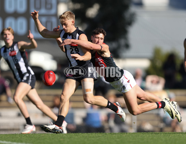 VFL 2024 Round 05  - Collingwood v Essendon - A-48217986