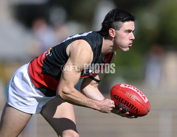 VFL 2024 Round 05  - Collingwood v Essendon - A-48217988